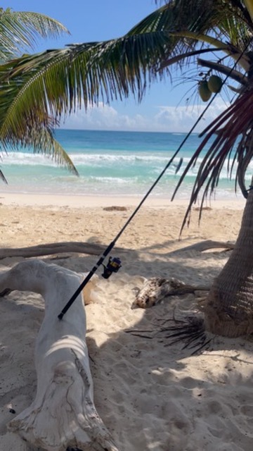 ELSE CODED destination, Mexico