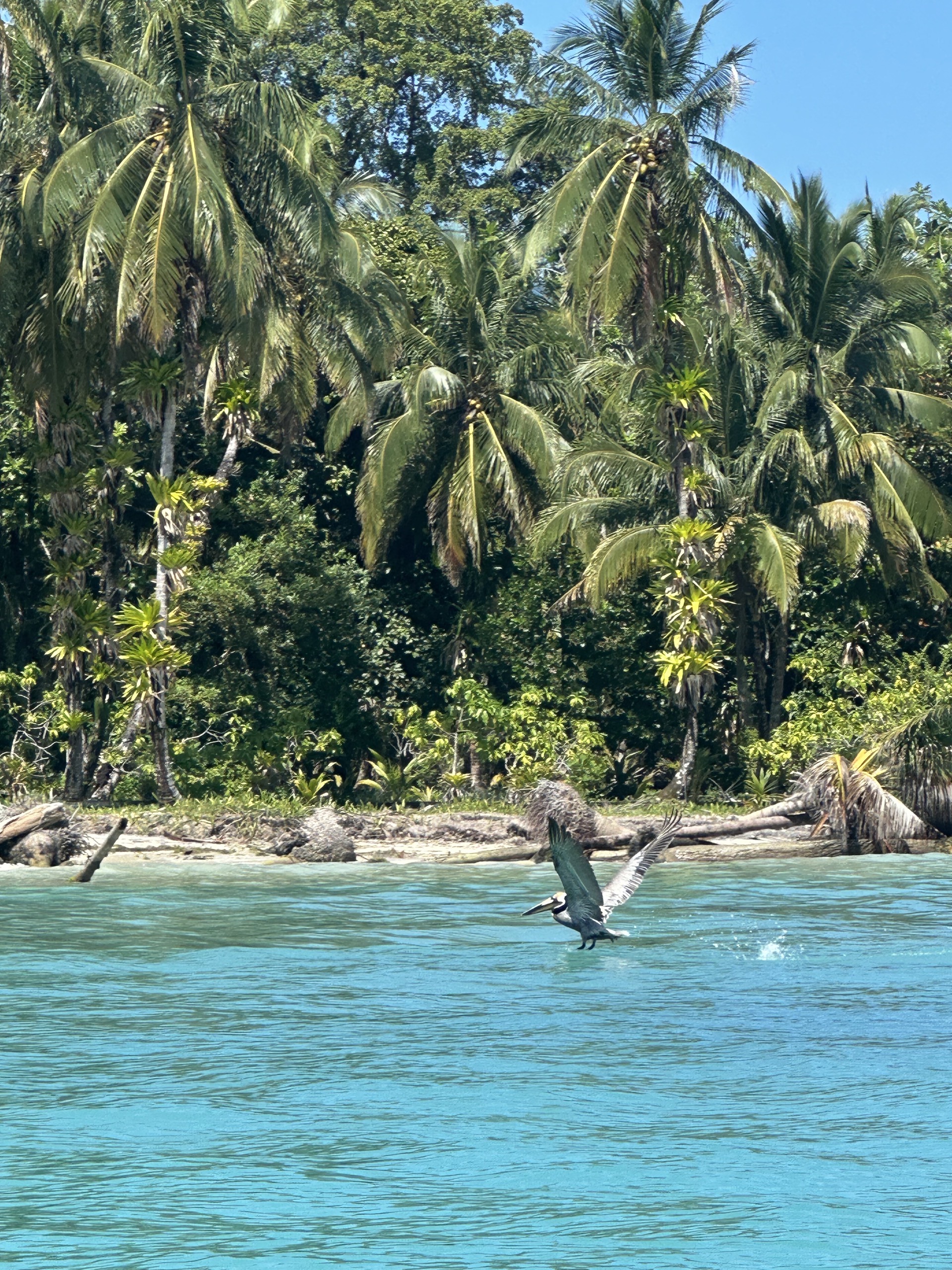 Panama — ELSE CODED destination. Caribbean & Pacific. Exotic fishing, wild bivouacs, jungle and freedom.