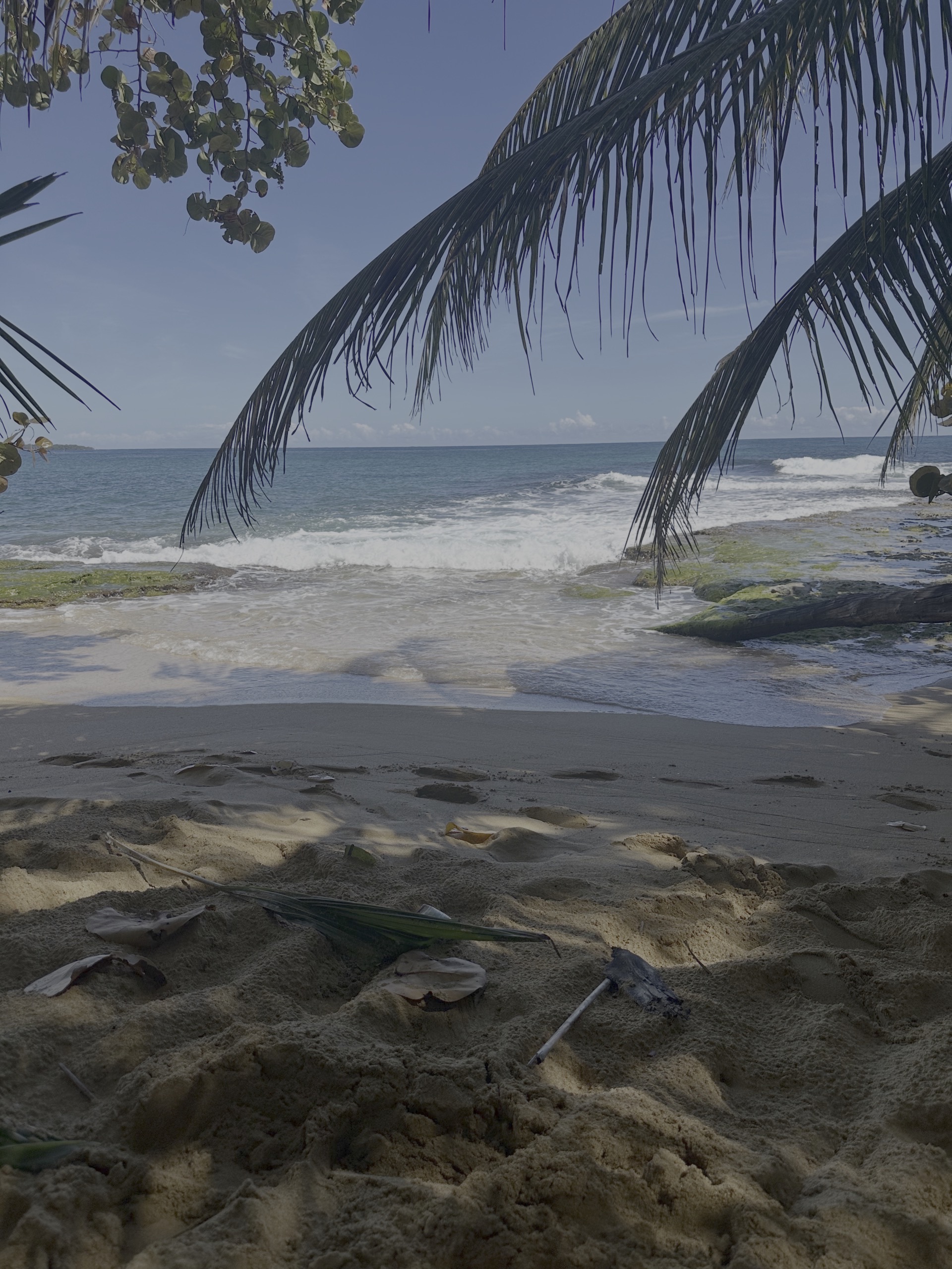 Tropical beach in Panama with palm trees and calm water