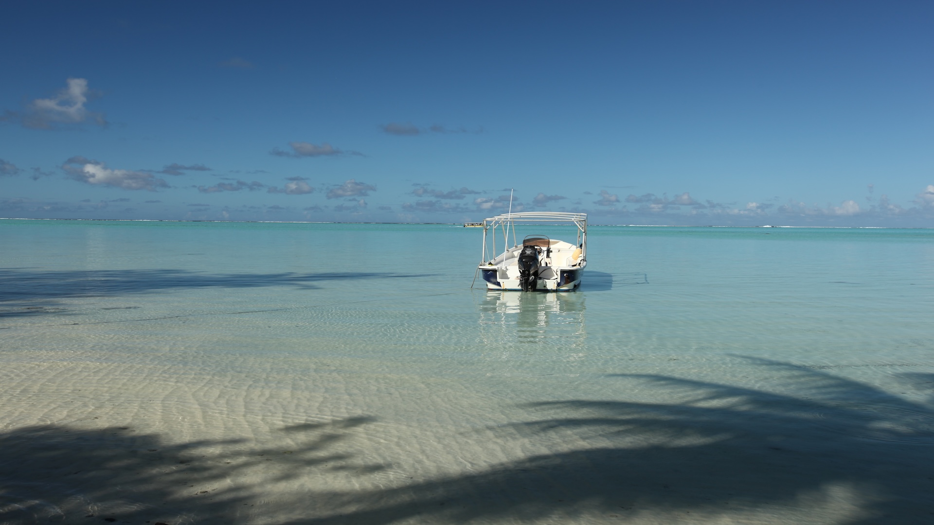 Lagoon boating, Bocas del Toro, Panama