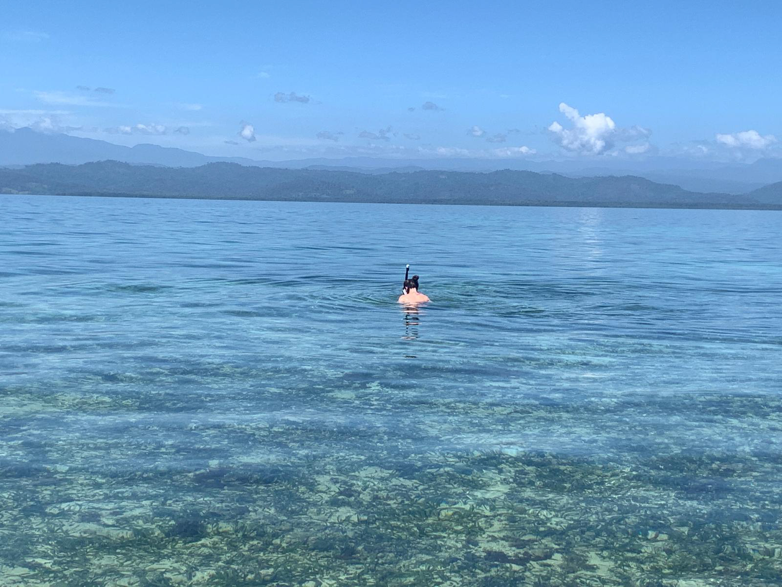 Bocas del Toro lagoon, snorkeling and clear water